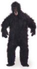 gorilla.jpg